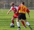 thm_Rothemann - SVS 13.4.08 21.gif